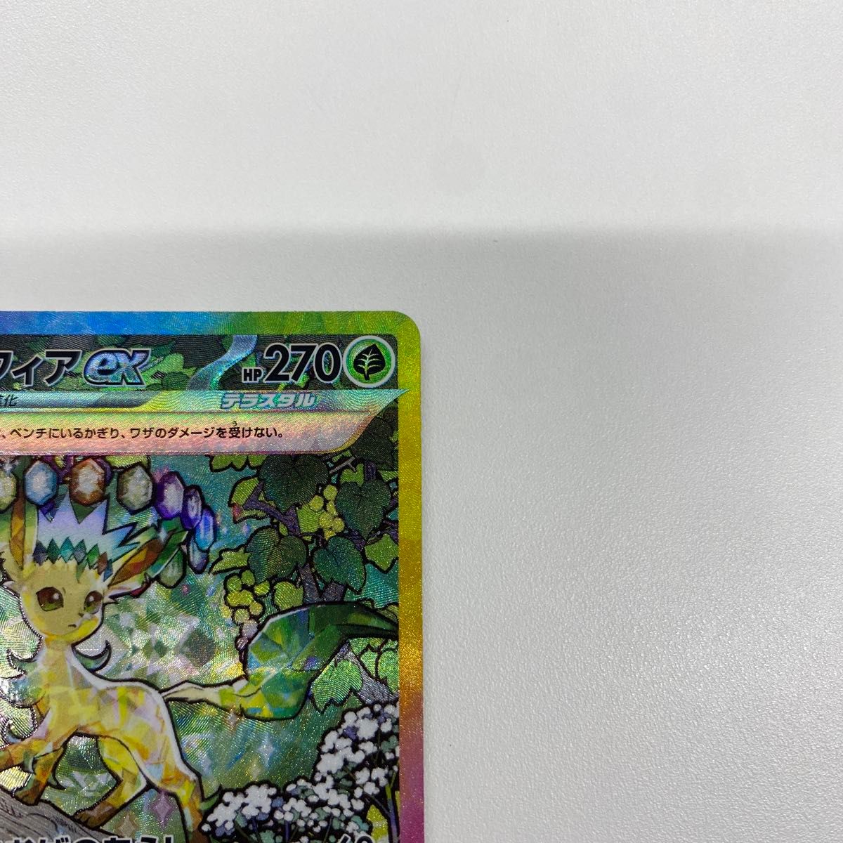 ポケモンカード テラスタルフェスex リーフィアex SAR|Yahoo ポケモンカード テラスタルフェスex リーフィアex SAR|Yahoo