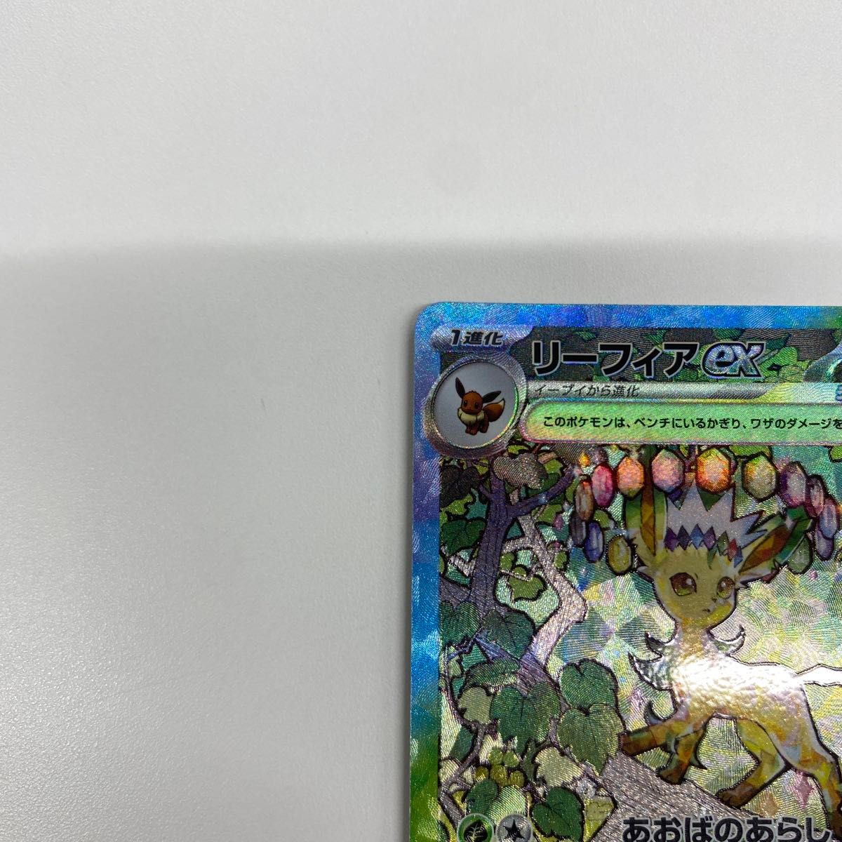 ポケモンカード テラスタルフェスex リーフィアex SAR|Yahoo ポケモンカード テラスタルフェスex リーフィアex SAR|Yahoo