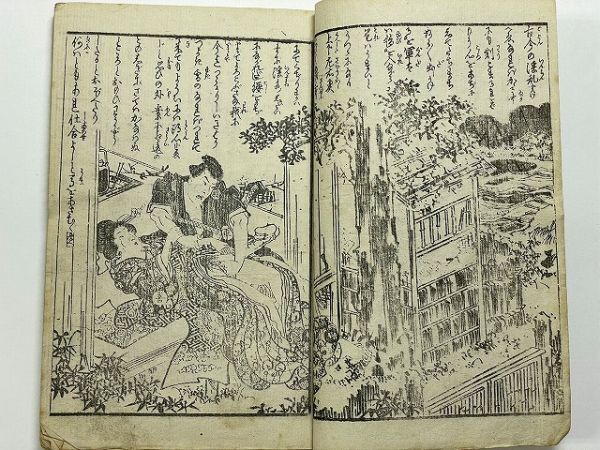 Amazon.co.jp: 春風亭香雨編 望斎秀月画『鬼神阿松白浪草紙 Amazon.co.jp: 春風亭香雨編 望斎秀月画『鬼神阿松白浪草紙