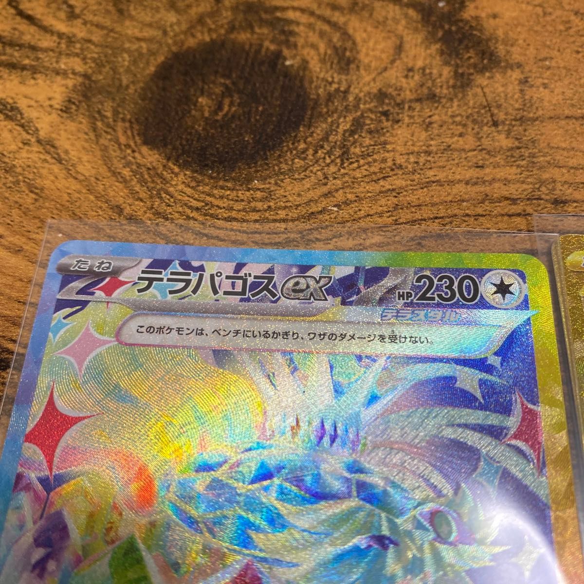 テラパゴスex SAR URセット ポケモンカードゲームテラスタル テラパゴスex SAR URセット ポケモンカードゲームテラスタル