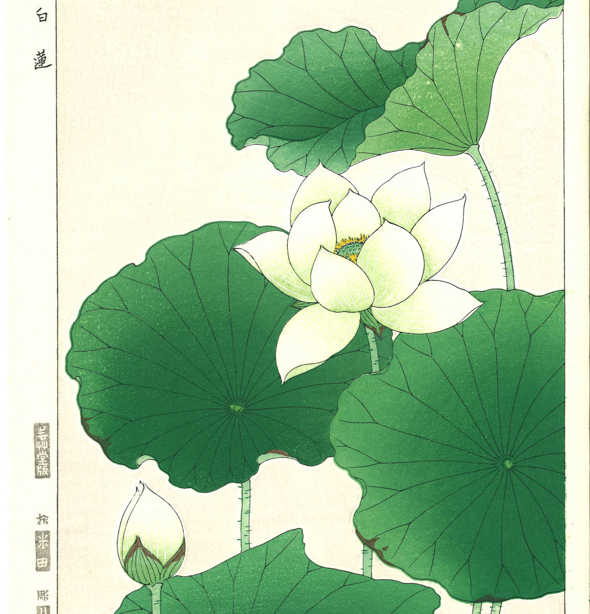 河原崎奨堂 (Kawarazaki Shodo) (1899~1973) 木版画 F058 白蓮 (Lotus