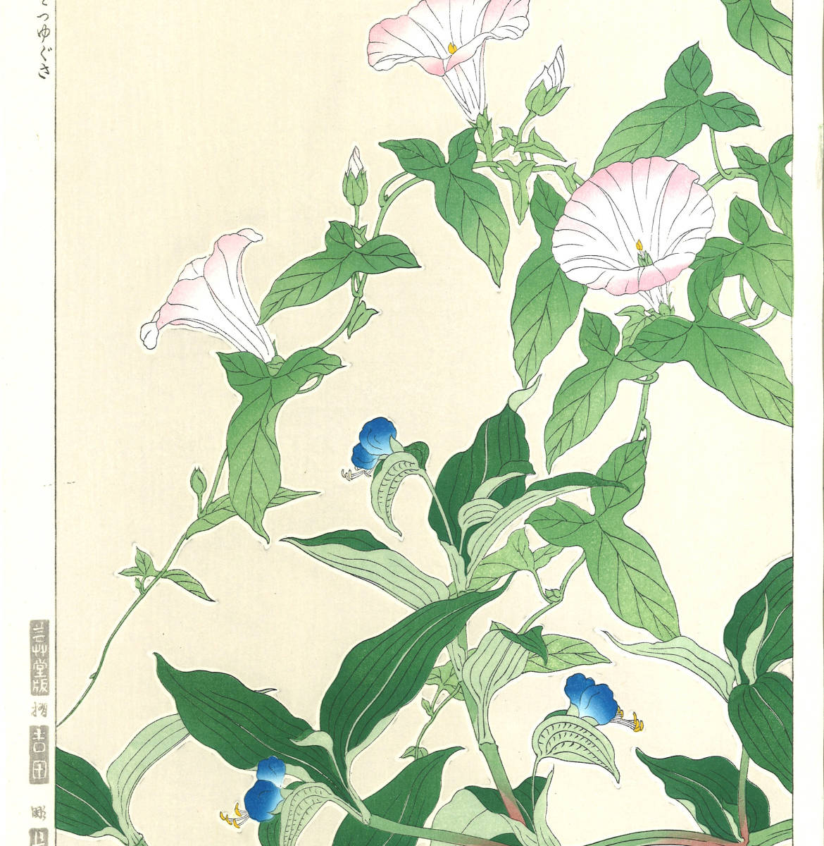 河原崎奨堂 (Kawarazaki Shodo) (1899~1973) 木版画 F062 昼顔と露草 (Bindweed)　初版昭和初期～京都の一流の摺師の技をご堪能下さい。_画像4