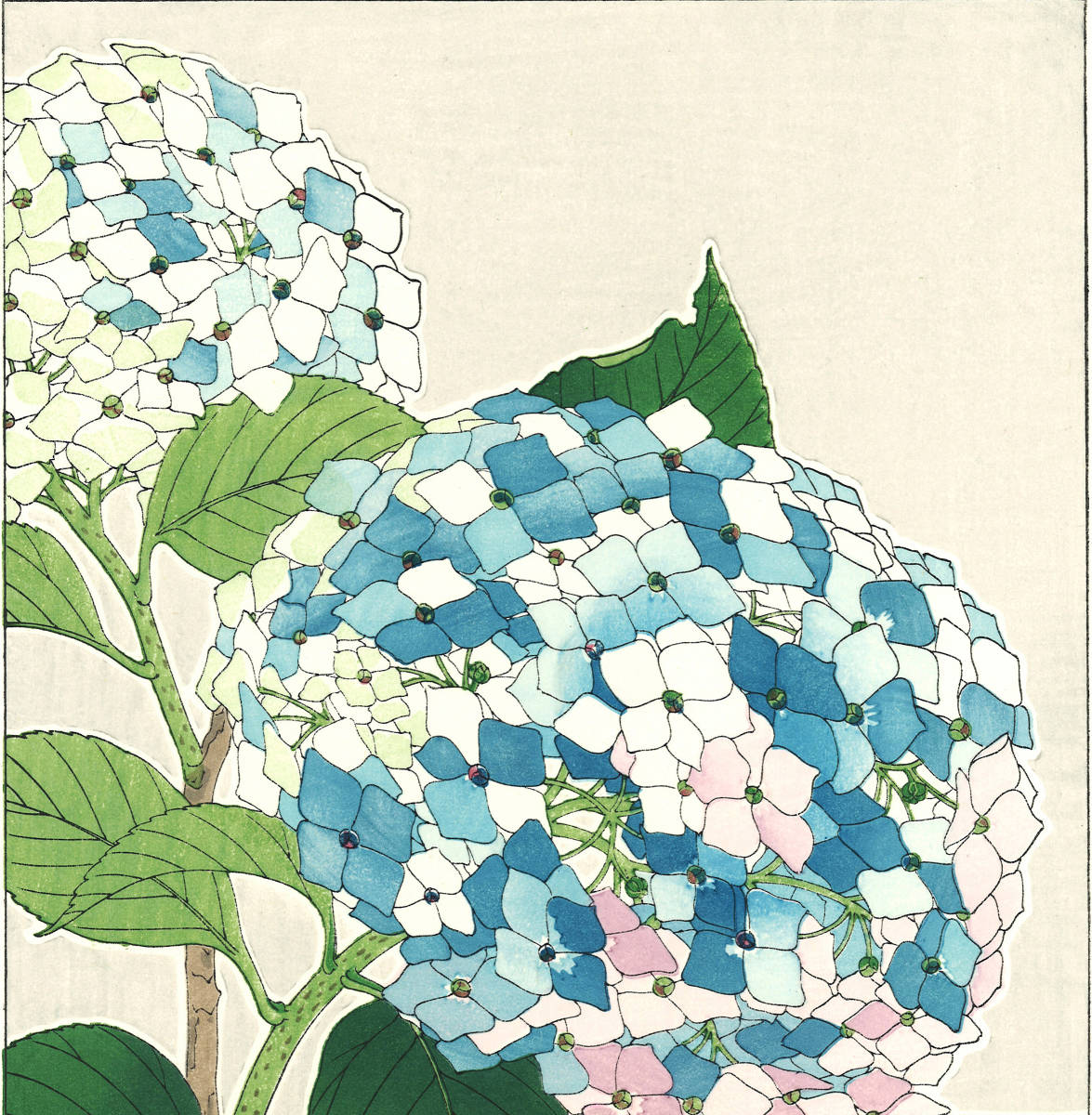 河原崎奨堂 (Kawarazaki Shodo) (1899~1973) 木版画F075 紫陽花 (Hydrangea)初版昭和初期～京都の一流の摺師の技をご堪能下さい。_画像6