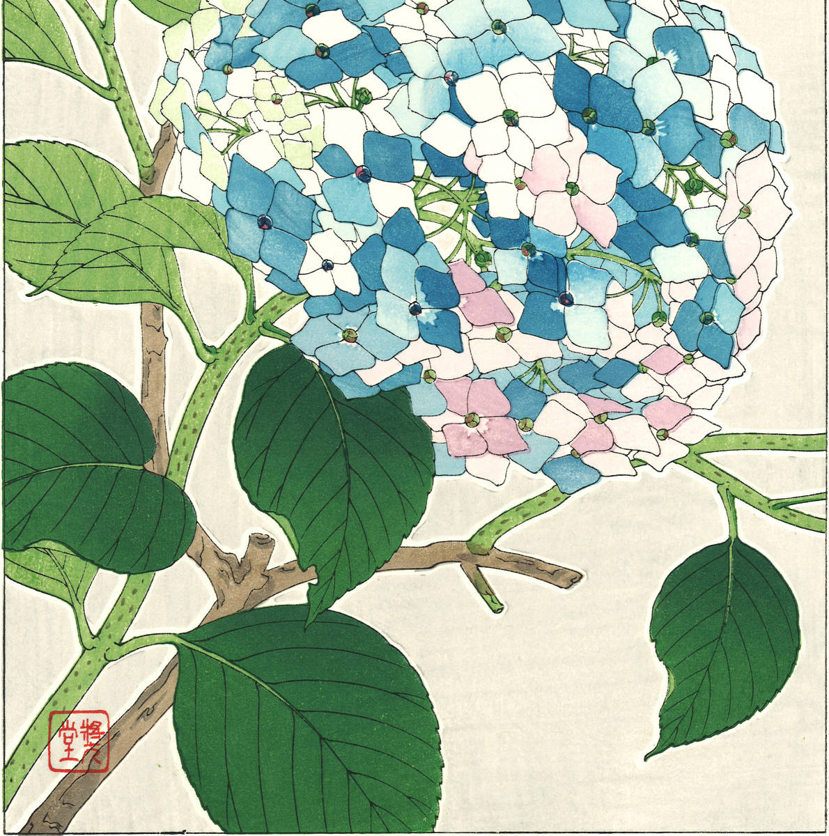 河原崎奨堂 (Kawarazaki Shodo) (1899~1973) 木版画F075 紫陽花 (Hydrangea)初版昭和初期～京都の一流の摺師の技をご堪能下さい。_画像8