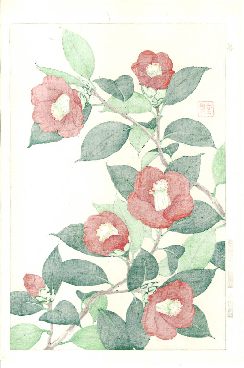 河原崎奨堂 (Kawarazaki Shodo) (1899~1973) 木版画 F048 椿 (Camellia 
