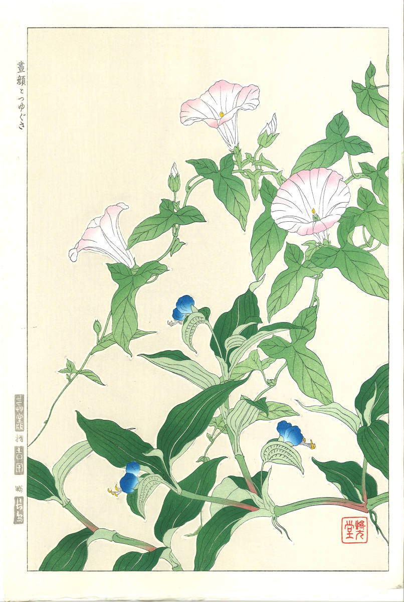 河原崎奨堂 (Kawarazaki Shodo) (1899~1973) 木版画 F062 昼顔と露草 (Bindweed)　初版昭和初期～京都の一流の摺師の技をご堪能下さい。_画像1