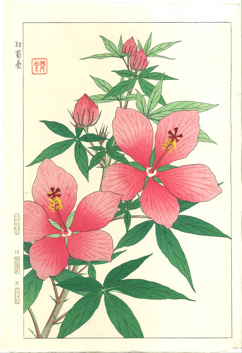 河原崎奨堂 (Kawarazaki Shodo) (1899~1973)木版画　F084 ハイビスカス　(Hibiscus)　初版昭和初期～　京都の一流の摺師の技をご堪能下さい