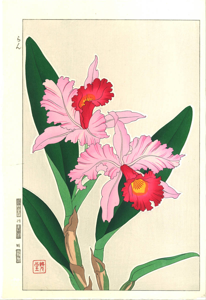 河原崎奨堂 (Kawarazaki Shodo) (1899~1973) 木版画 F099 蘭 (Orchid