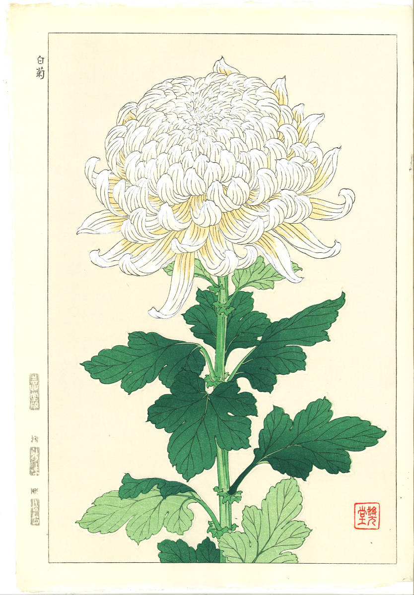 河原崎奨堂 (Kawarazaki Shodo) (1899~1973)木版画 F034 白菊 花版画(Chrysanthemum)初版昭和初期～京都の一流の摺師の技をご堪能下さい。