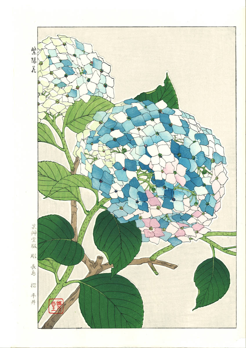 河原崎奨堂 (Kawarazaki Shodo) (1899~1973) 木版画F075 紫陽花 (Hydrangea)初版昭和初期～京都の一流の摺師の技をご堪能下さい。_画像1