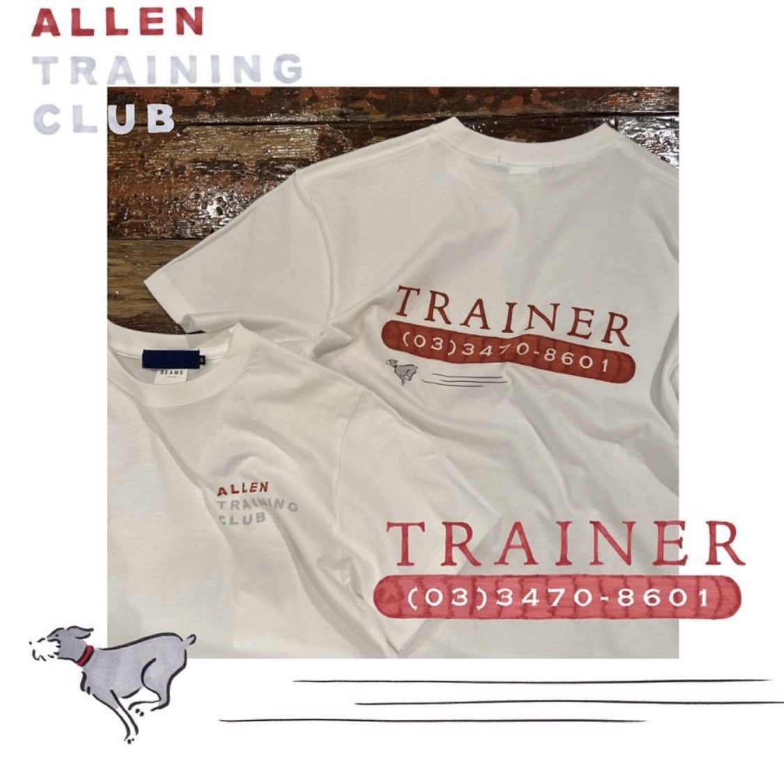  postage Y370~ tera is terrace house ... woven foxco x BEAMS T collaboration ALLEN TRAINING CLUB Tee shirt size: L new goods immediately shipping possible other great number exhibiting 