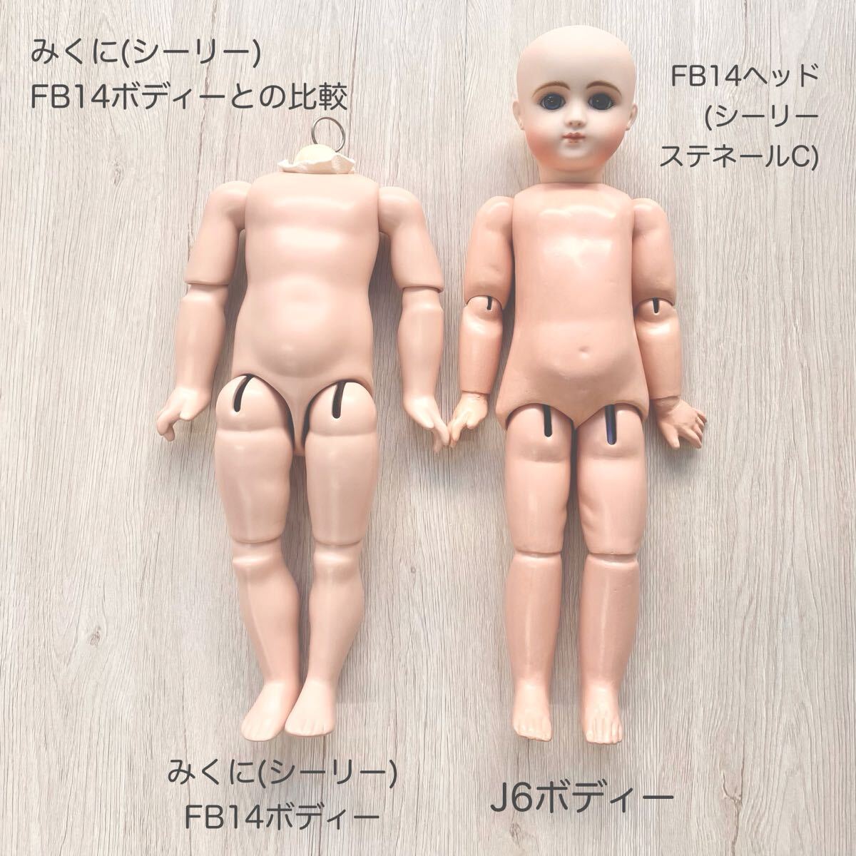 Bibian 比比昂 - コンポジションボディー【J6】FB14相当リプロ Bibian 比比昂 - コンポジションボディー【J6】FB14相当リプロ