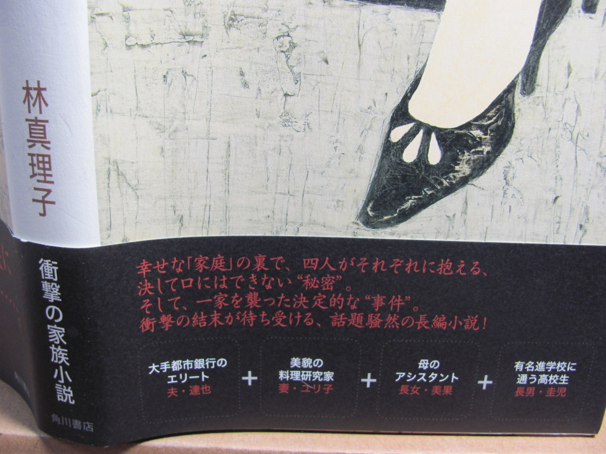 ヤフオク 林真理子 聖家族のランチ 家族の崩壊と再 ヤフオク 林真理子 聖家族のランチ 家族の崩壊と再