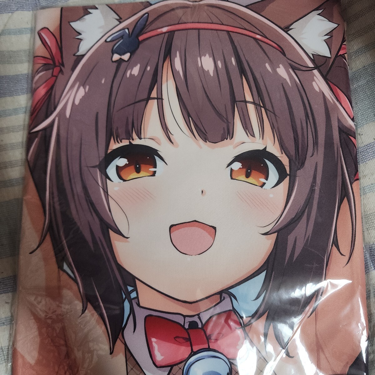 Mios ネコぱら ショコラ 抱き枕カバー 未開封 NEKO WORKs さより