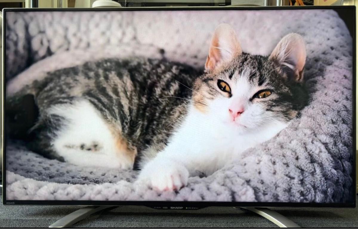 シャープ2016年製 40型 - 液晶テレビ シャープ2016年製 40型 - 液晶テレビ