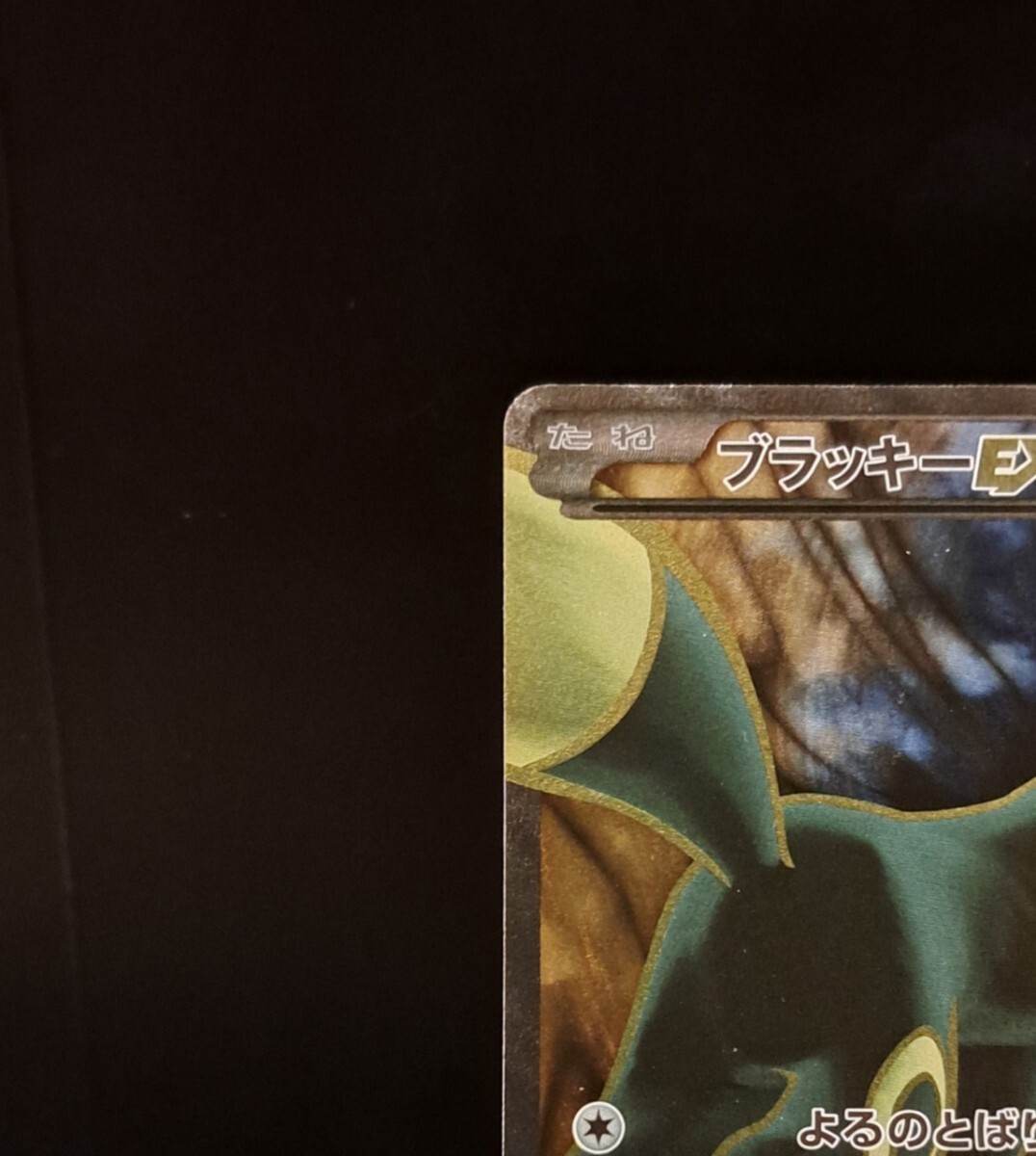 ブラッキーEX SR 1ed 082/078 XY10 めざめる超王 ポケモンカード ブラッキーEX SR 1ed 082/078 XY10 めざめる超王 ポケモンカード