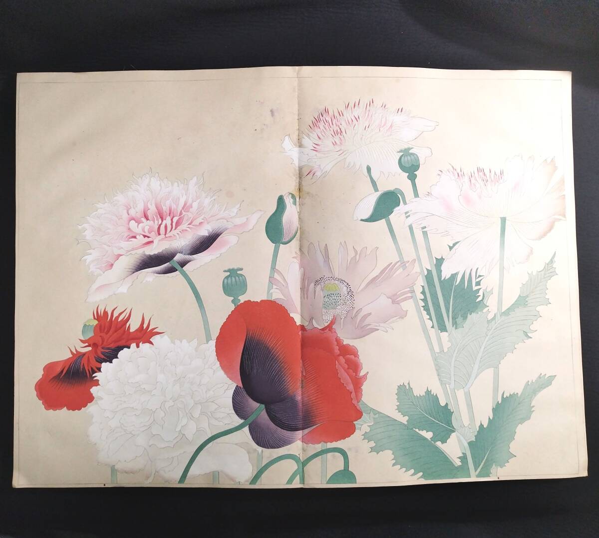 特大本 彩色 木版画【 百花図譜 】芸艸堂 村上貞雄 絵入絵本 画譜 草花図 袋付き 昭和7年 古書 古文書 和本 骨董 古美術354(和書)|売買されたオークション情報、Yahoo!オークション(旧ヤフオク!) の商品情報をアーカイブ公開 - オークファン(aucfan.com) 特大本 彩色 木版画【 百花図譜 】芸艸堂 村上貞雄 絵入絵本 画譜 草花図 袋付き 昭和7年 古書 古文書 和本 骨董 古美術354(和書)|売買されたオークション情報、Yahoo!オークション(旧ヤフオク!) の商品情報をアーカイブ公開 - オークファン(aucfan.com)