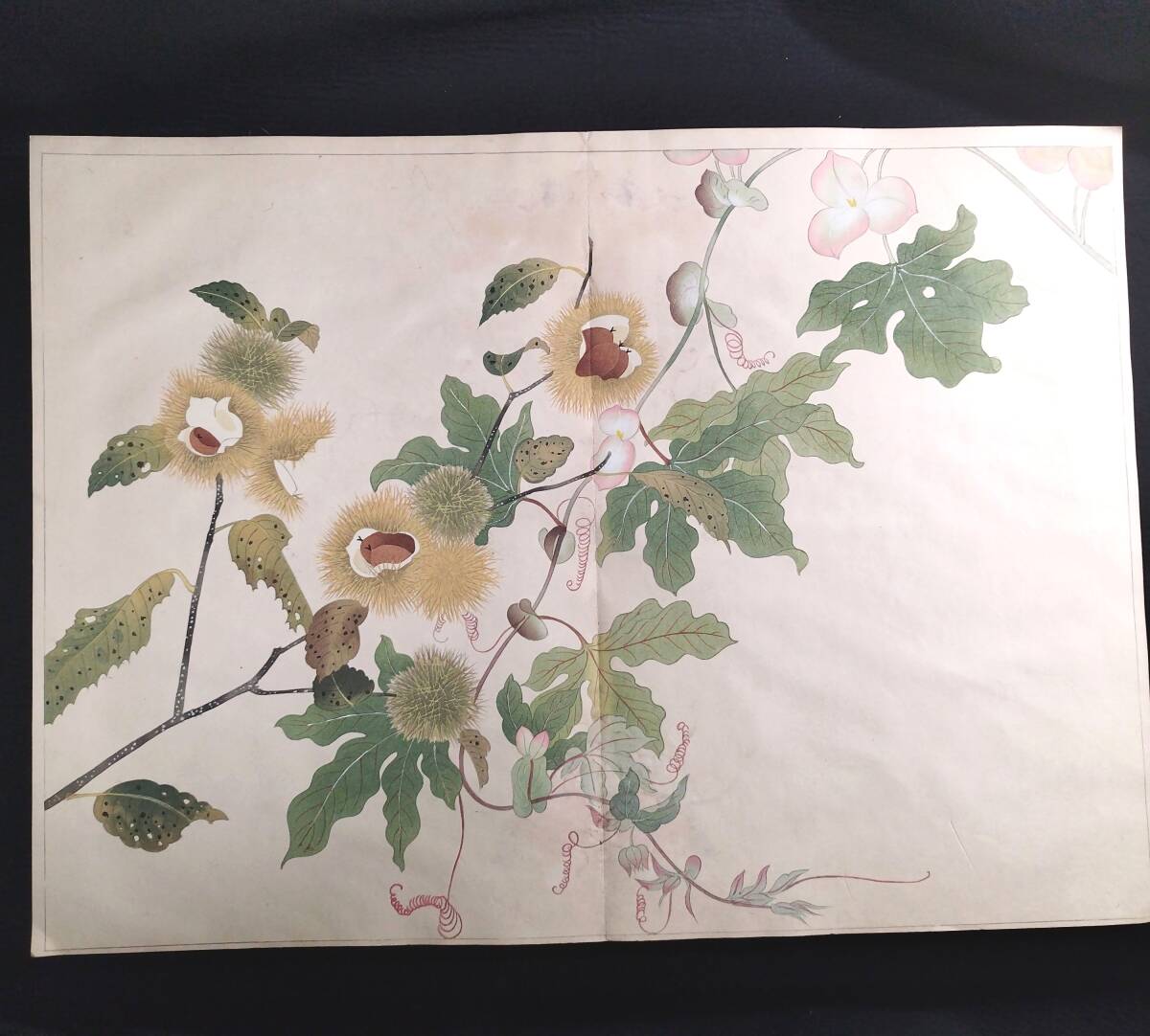 特大本 彩色 木版画【 百花図譜 】芸艸堂 村上貞雄 絵入絵本 画譜 草花図 袋付き 昭和7年 古書 古文書 和本 骨董 古美術354(和書)|売買されたオークション情報、Yahoo!オークション(旧ヤフオク!) の商品情報をアーカイブ公開 - オークファン(aucfan.com) 特大本 彩色 木版画【 百花図譜 】芸艸堂 村上貞雄 絵入絵本 画譜 草花図 袋付き 昭和7年 古書 古文書 和本 骨董 古美術354(和書)|売買されたオークション情報、Yahoo!オークション(旧ヤフオク!) の商品情報をアーカイブ公開 - オークファン(aucfan.com)