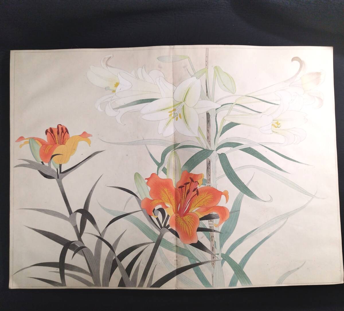 特大本 彩色 木版画【 百花図譜 】芸艸堂 村上貞雄 絵入絵本 画譜 草花図 袋付き 昭和7年 古書 古文書 和本 骨董 古美術354(和書)|売買されたオークション情報、Yahoo!オークション(旧ヤフオク!) の商品情報をアーカイブ公開 - オークファン(aucfan.com) 特大本 彩色 木版画【 百花図譜 】芸艸堂 村上貞雄 絵入絵本 画譜 草花図 袋付き 昭和7年 古書 古文書 和本 骨董 古美術354(和書)|売買されたオークション情報、Yahoo!オークション(旧ヤフオク!) の商品情報をアーカイブ公開 - オークファン(aucfan.com)