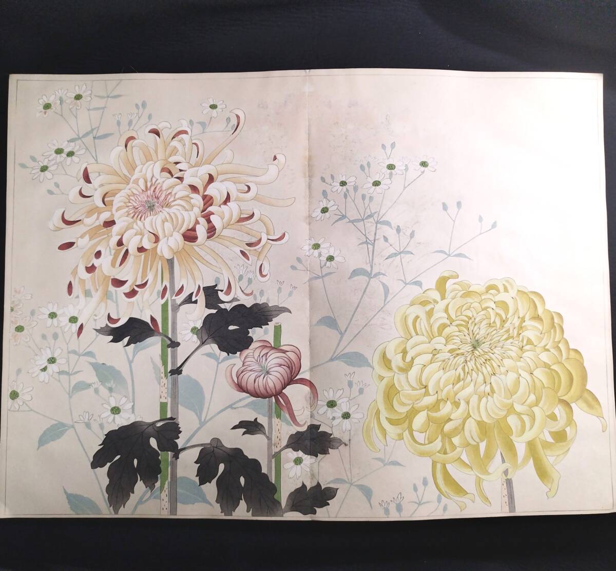 特大本 彩色 木版画【 百花図譜 】芸艸堂 村上貞雄 絵入絵本 画譜 草花図 袋付き 昭和7年 古書 古文書 和本 骨董 古美術354(和書)|売買されたオークション情報、Yahoo!オークション(旧ヤフオク!) の商品情報をアーカイブ公開 - オークファン(aucfan.com) 特大本 彩色 木版画【 百花図譜 】芸艸堂 村上貞雄 絵入絵本 画譜 草花図 袋付き 昭和7年 古書 古文書 和本 骨董 古美術354(和書)|売買されたオークション情報、Yahoo!オークション(旧ヤフオク!) の商品情報をアーカイブ公開 - オークファン(aucfan.com)
