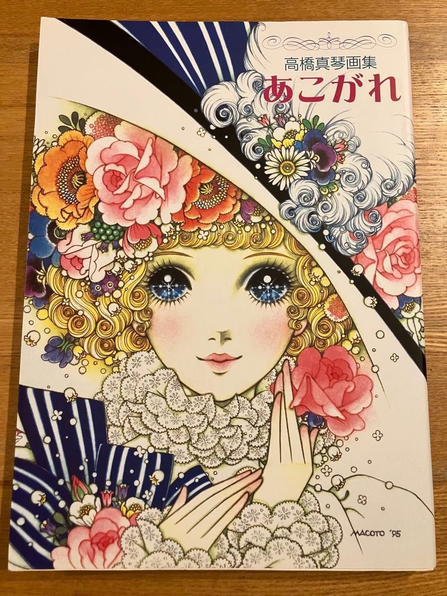 手塚雄二作品集 眩景 日本画 大型本画集 デッサン 素描 手塚雄二作品集 眩景 日本画 大型本画集 デッサン 素描 現代日本画