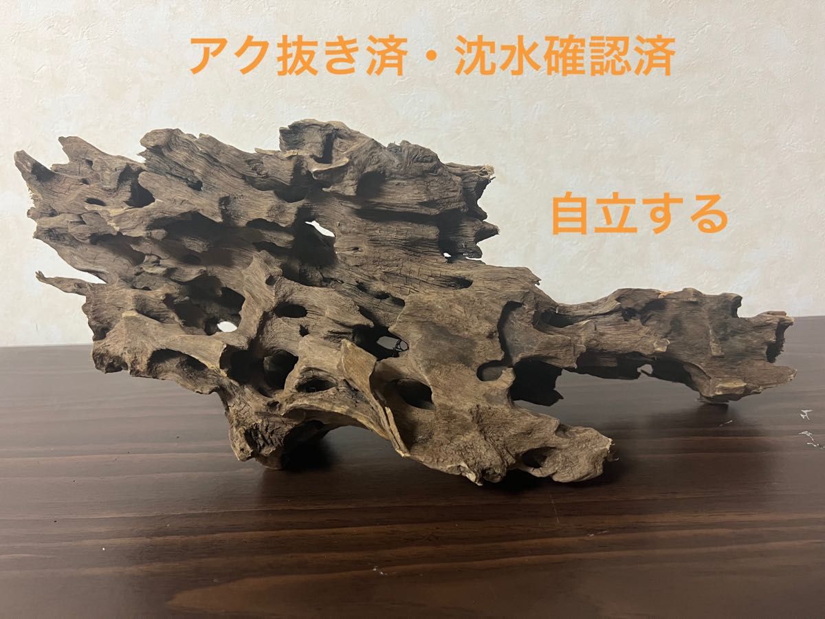 XM-296 ブランチウッド 流木 マシンガンウッド アクアリウム 沈水確認済