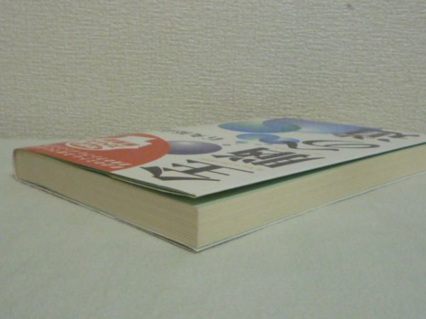 全脳への道 ★ 石丸裕高 ◆ ストレス解消法 夢のスーパーセラピー 悩み 癒し効果 胎児のストレスまでとれる驚異のワンブレインシステム_画像2