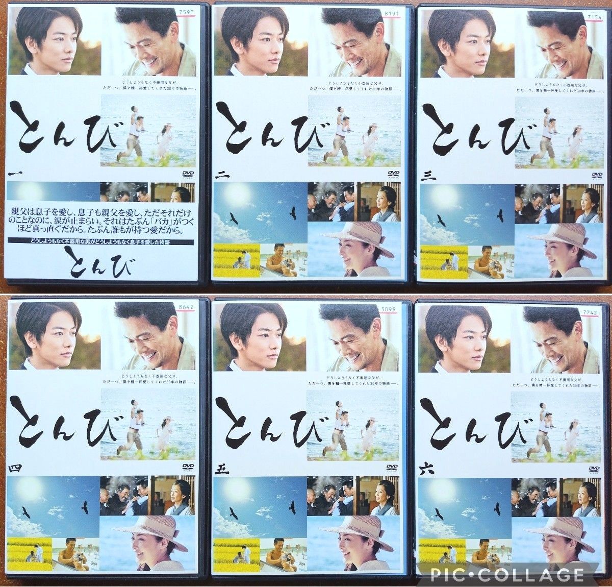 DVD とんび ドラマ 全巻セット 内野聖陽 佐藤健 常盤貴子 重松清 イッキ見 中古 TBS 福山雅治 ヒューマンドラマ 感動 DVD とんび ドラマ 全巻セット 内野聖陽 佐藤健 常盤貴子 重松清 イッキ見 中古 TBS 福山雅治 ヒューマンドラマ 感動