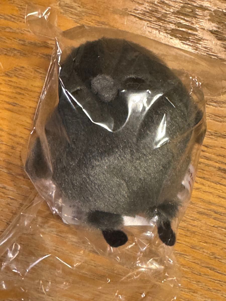 カナヘイの小動物 ブラックマスコット うさぎ ピスケ ブラック カナヘイの小動物 ブラックマスコット うさぎ ピスケ ブラック
