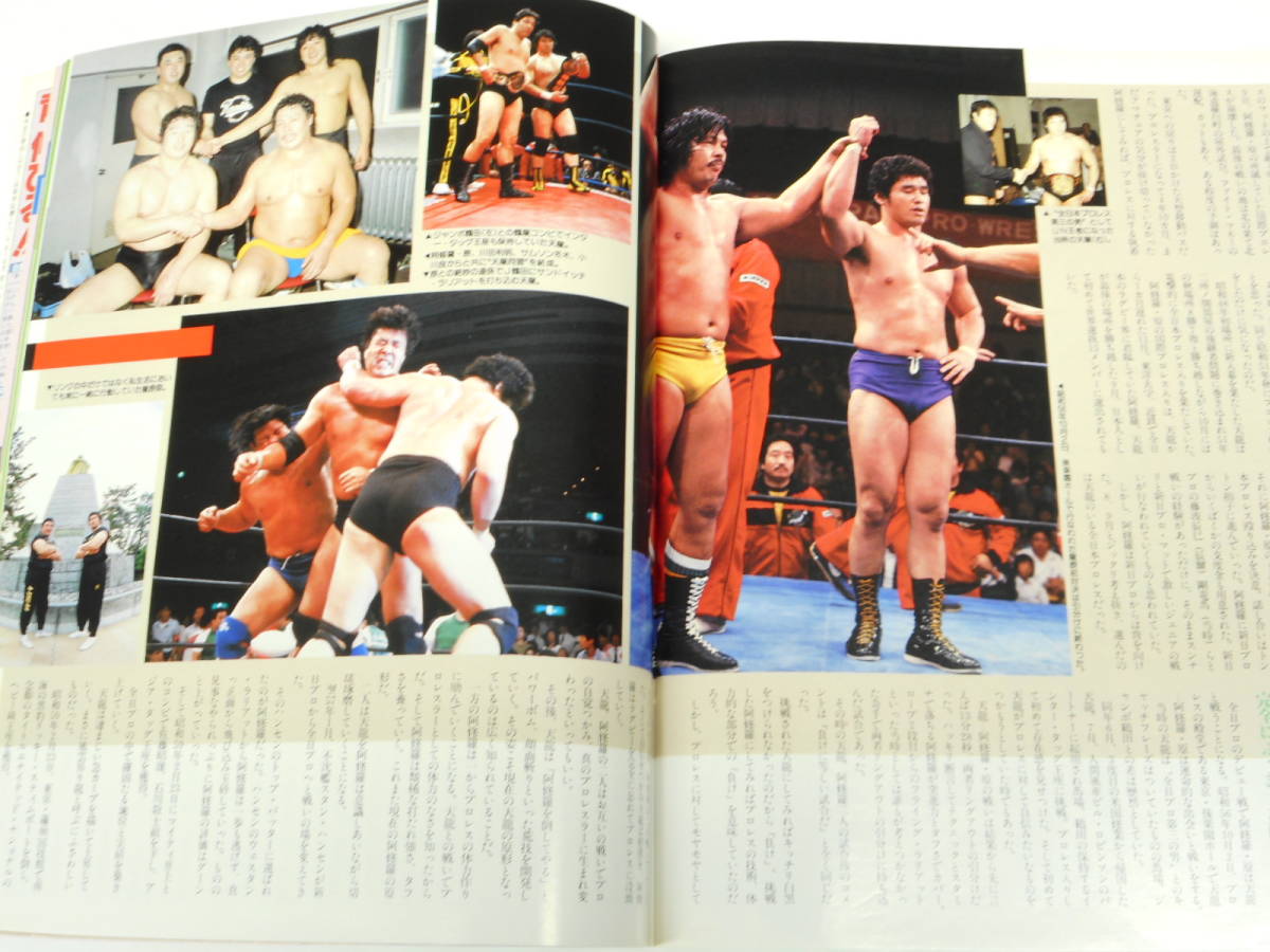 週刊ゴングSPECIAL1991年冬号　ハルク・ホーガン～データ・ファイル～、WWF＆WCW超目玉フレッシュ強豪 アンダーテイカー、シッド・ビシャス_画像9