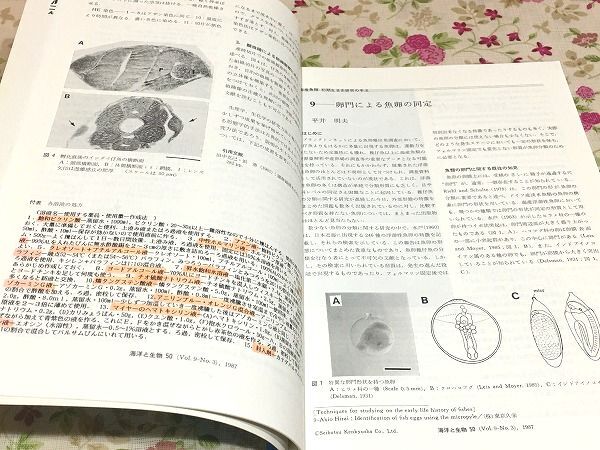 ○B/海洋と生物 生物研究社 207冊セット 生物研究社 自然科学 ○B/海洋と生物 生物研究社 207冊セット 生物研究社 自然科学