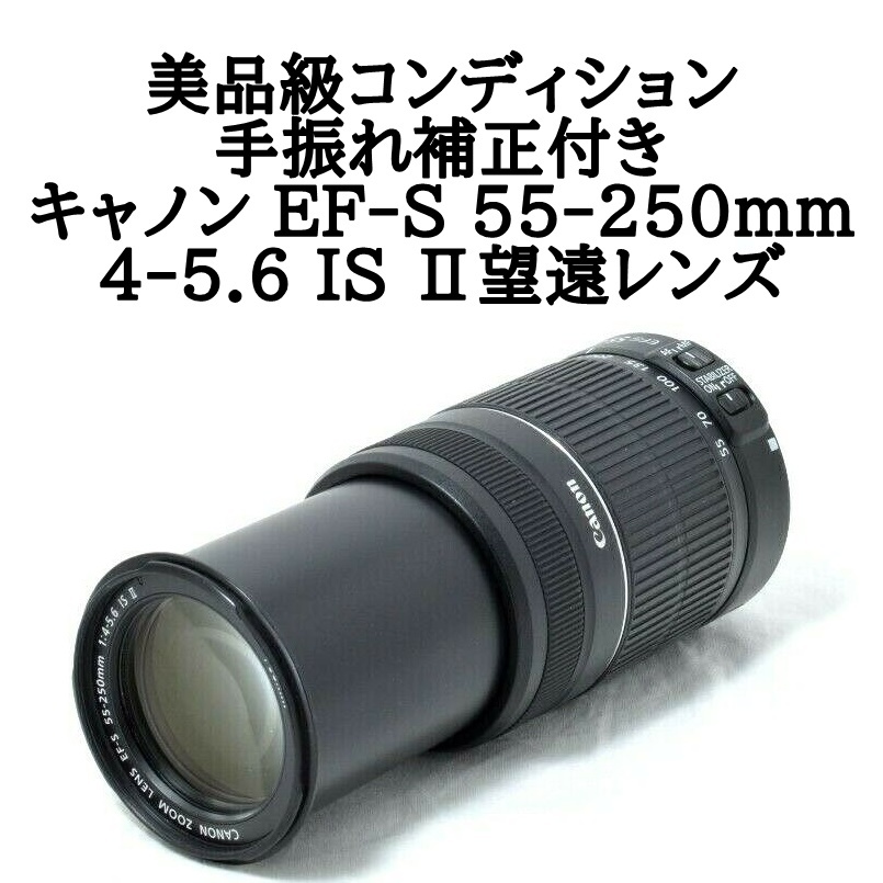 Canon キャノン EF-S 55-250mm IS 手振れ補正 望遠ズームレンズ 初心者