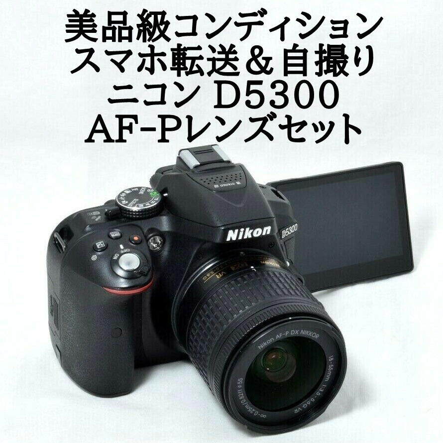 ★美品級＆スマホ転送＆自撮り★Nikon ニコン D5300 AF-P 18-55 レンズセット 8GB 新品SDカード付き