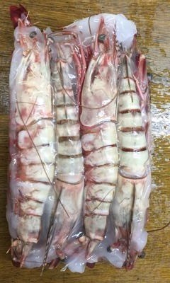 1尾が28cm重さが200g