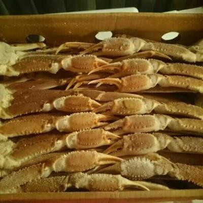 即決なら10kg★^_^/歳末セール★ウルトラ バルタンサイズ！生冷凍ズワイガニ４Lサイズ　 5kg 即決は10kg お屆け☆★☆★
