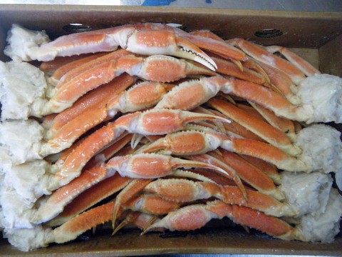 ★文明開花セール品^_^/【シーズン到來】ズワイガニ５ｋｇ/３Ｌを2箱セット○ 特大の蟹肩を３４肩！物凄い量です！