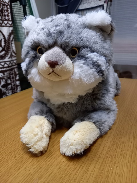 値下げ中※サンレモン ぬいぐるみ ひざまぬる マヌルネコ 値下げ中※サンレモン ぬいぐるみ ひざまぬる マヌルネコ