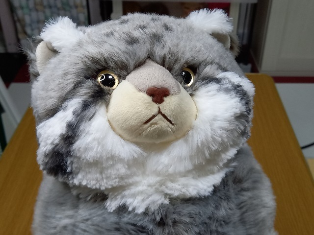 値下げ中※サンレモン ぬいぐるみ ひざまぬる マヌルネコ 値下げ中※サンレモン ぬいぐるみ ひざまぬる マヌルネコ