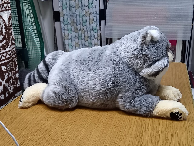 値下げ中※サンレモン ぬいぐるみ ひざまぬる マヌルネコ 値下げ中※サンレモン ぬいぐるみ ひざまぬる マヌルネコ
