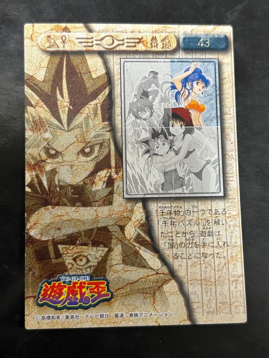 遊戯王 野坂ミホ 東映版 トレーディングコレクション 良品 遊戯王 野坂ミホ 東映版 トレーディングコレクション 良品