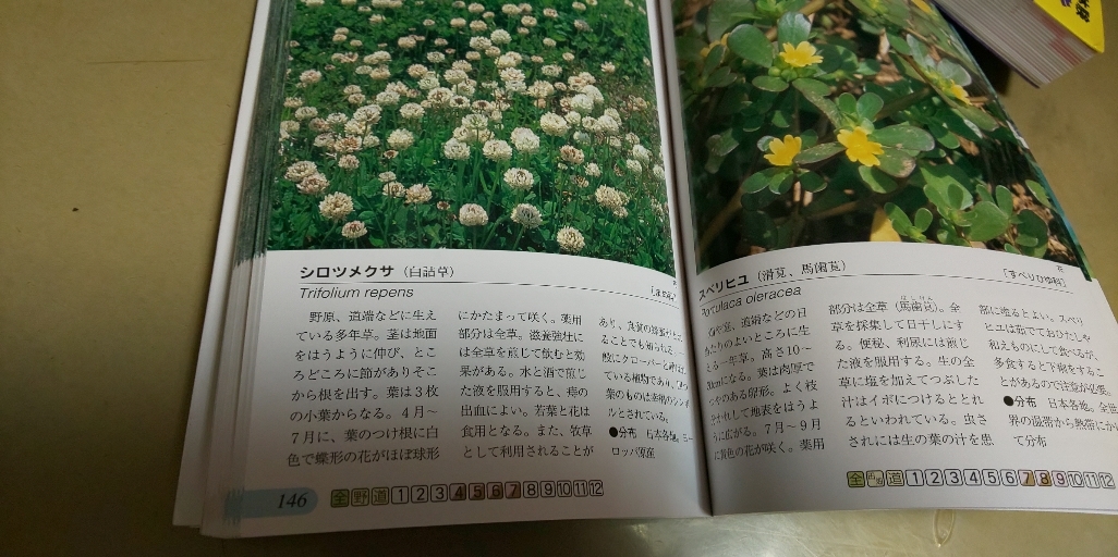 [ лекарственные травы ] Hokuriku павильон выпуск. новая книга версия.