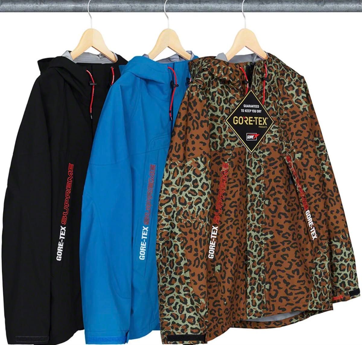 Supreme GORE TEX Taped Seam Jacket Leopard The North Face Supreme GORE TEX Taped Seam Jacket Leopard The North Face