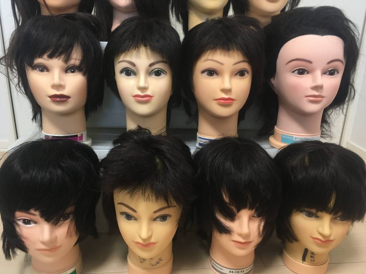 ① カットウィッグ 12体セット ヘアカット カット マネキン 美容 ① カットウィッグ 12体セット ヘアカット カット マネキン 美容