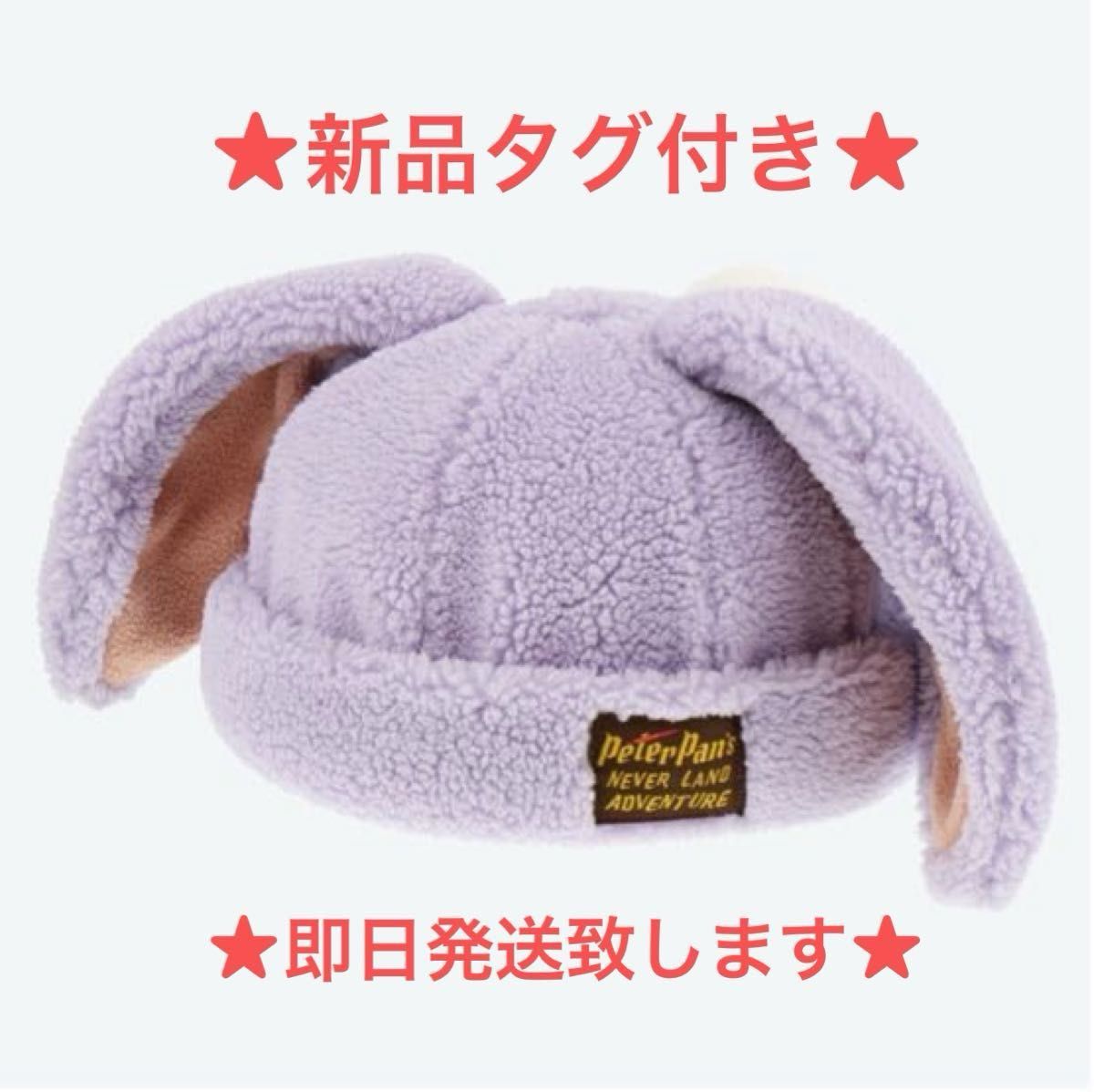 東京ディズニーリゾート限定 ファンタジースプリングス ピーター 東京ディズニーリゾート限定 ファンタジースプリングス ピーター