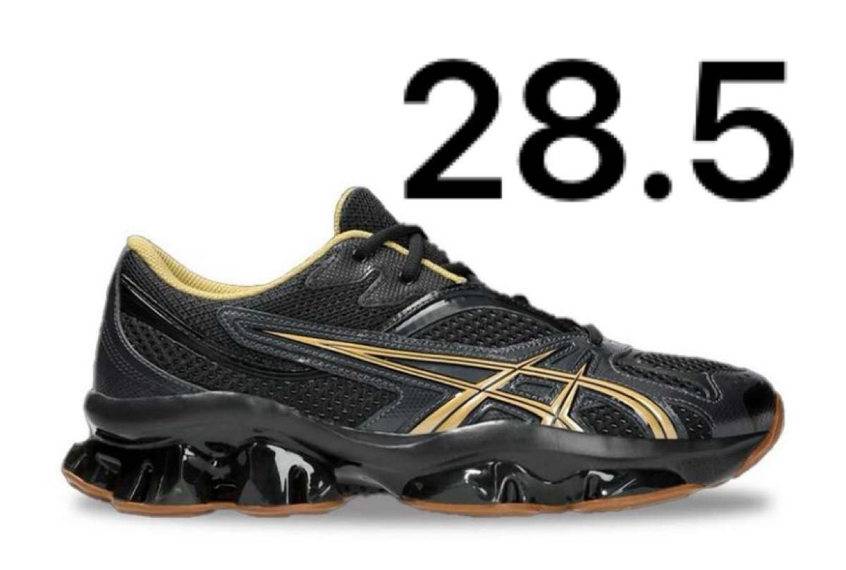 Kiko Kostadinov Asics Gel-Quantum Zientzia Black/Brown