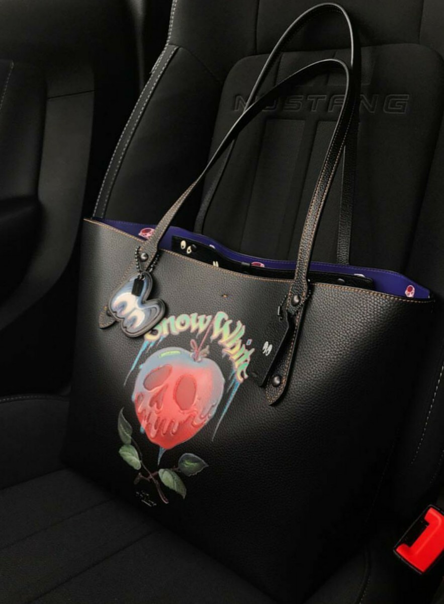 coach コラボ 白雪姫七人の小人 f31152 希少|PayPayフリマ