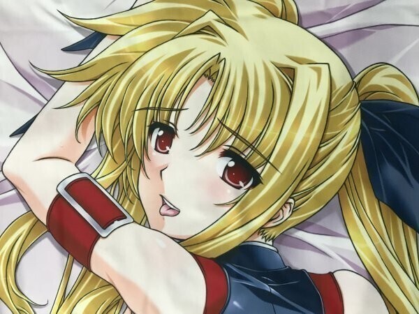 Z 正規品 H・O・P 魔法少女リリカルなのは フェイト 抱き枕 Z 正規品 H・O・P 魔法少女リリカルなのは フェイト 抱き枕