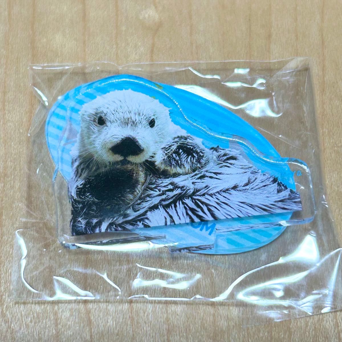 鳥羽水族館 ラッコ キラ メイ パネルスタンド コンプリート 鳥羽水族館 ラッコ キラ メイ パネルスタンド コンプリート