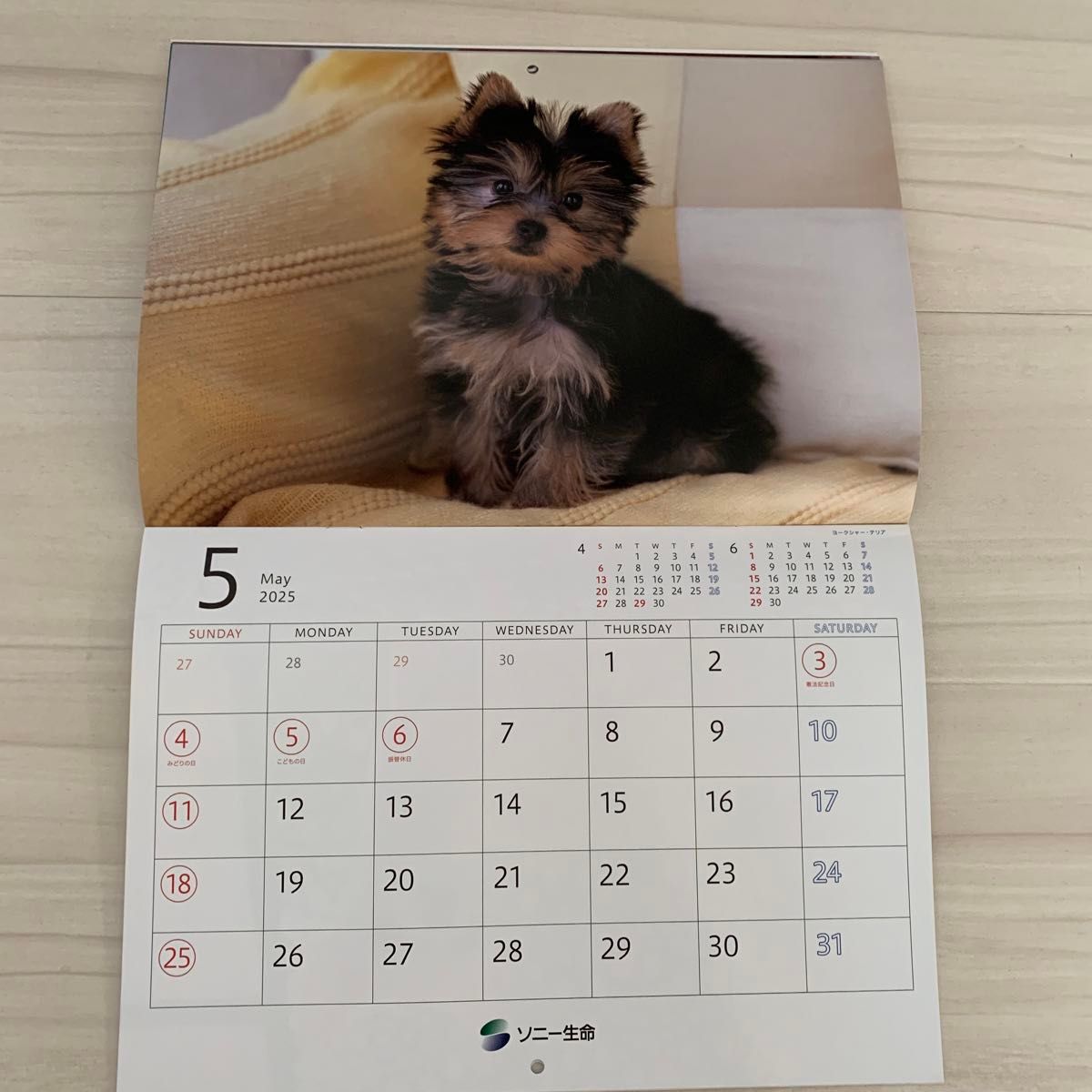 【送料無料キャンペーン】 ゆかいな子犬たち 新品】ソニー生命 2025年 カレンダー 壁掛け 手帳・カレンダー