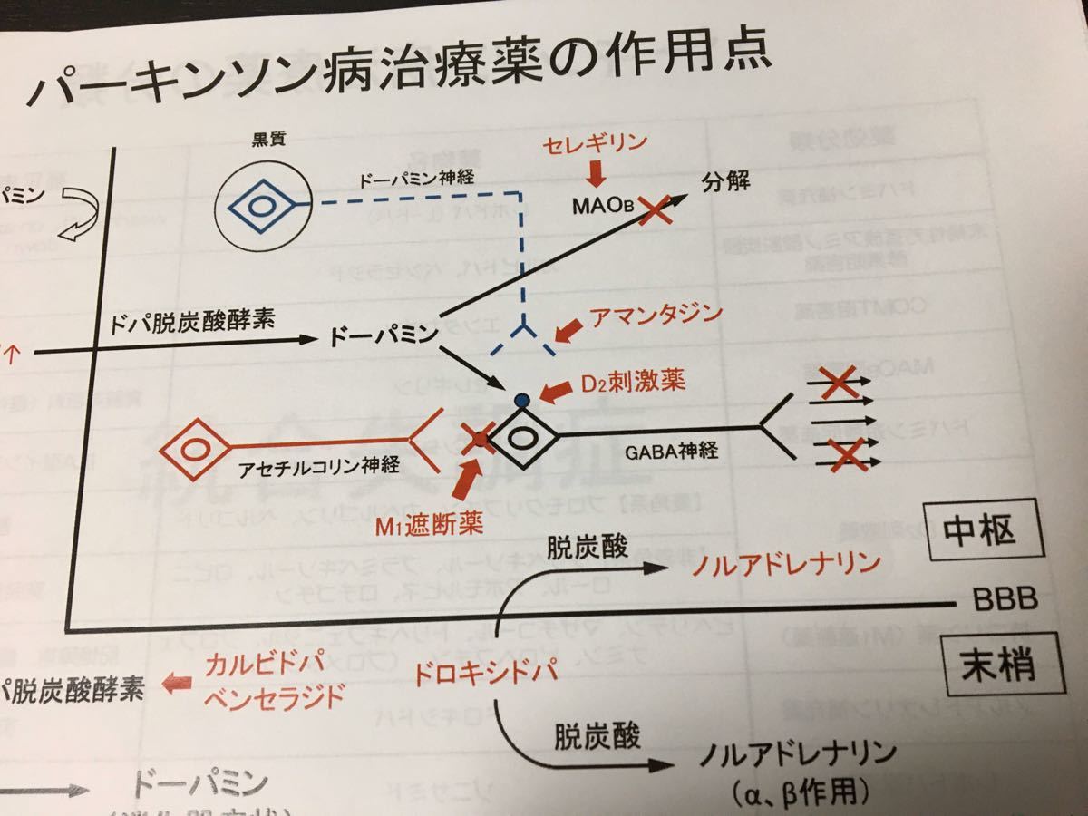 看護師、准看護師国家試験、看護学科定期試験対策シリーズ【中枢神経疾患】セット